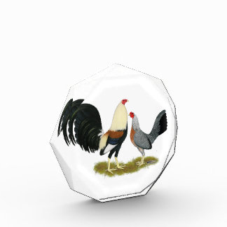 Grey Game Fowl Pair Award