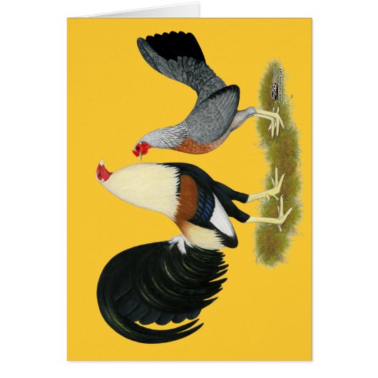 Grey Game Fowl Pair Cards (Front)