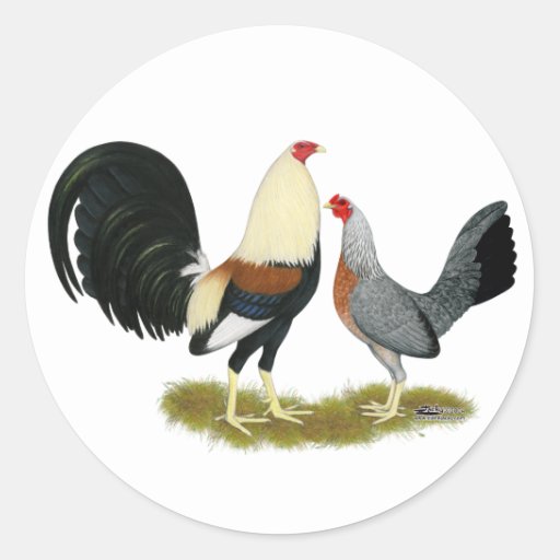 Grey Game Fowl Pair Classic Round Sticker | Zazzle