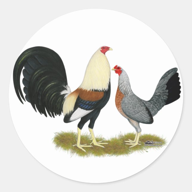 Grey Game Fowl Pair Classic Round Sticker (Front)