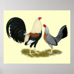 Grey Game Fowl Pair Poster