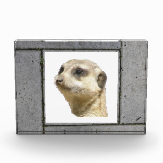 Grey Garden Tiles Image Photo Block