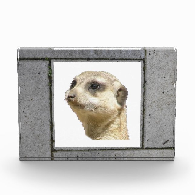 Grey Garden Tiles Image Photo Block (Front)