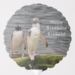 Grey Gentoo Penguin Funny Happy Birthday Balloon