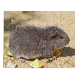 Grey Guinea pig Postcard T-Shirt Coffee Mug Mouse Jigsaw Puzzle