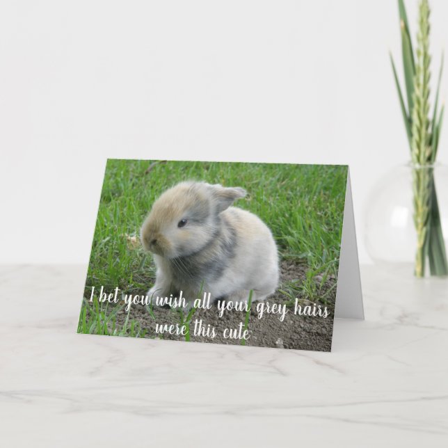 Grey Hair Hare Funny Age Bunny Birthday Card (Front)