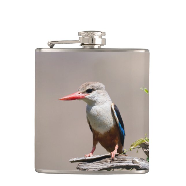 Grey-Headed Kingfisher Flask (Front)