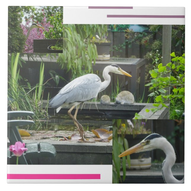 Grey Heron Collage Ceramic Tile (Front)