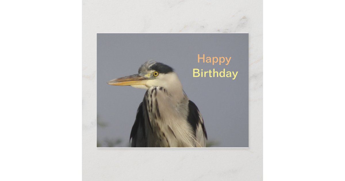 Grey Heron Happy Birthday Postcard Zazzle