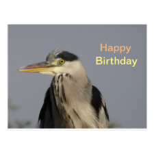 Grey Heron Happy Birthday Postcard
