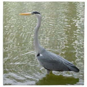 Grey heron in water napkin