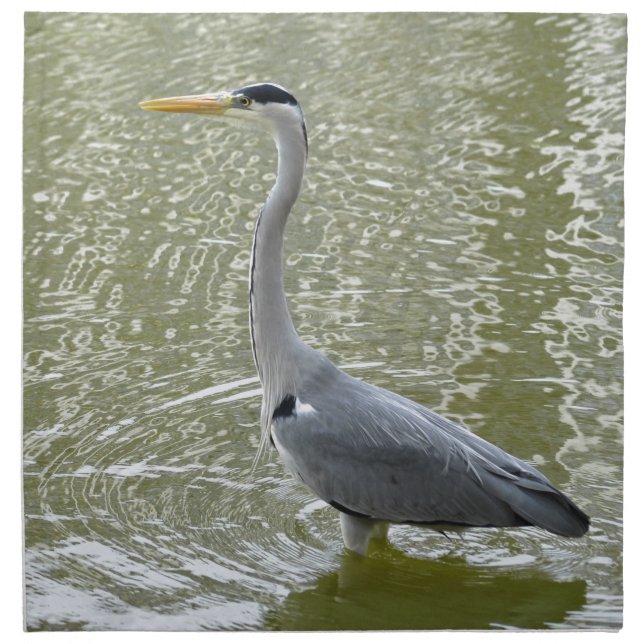 Grey heron in water napkin (Front)