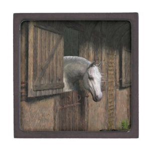 Grey Horse at the Stable Door Jewelry Box