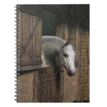 Grey Horse at the Stable Door