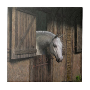 Grey Horse at the Stable Door Tile