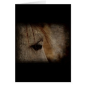 Grey Horse Face Grunge (Front)