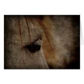 Grey Horse Face Grunge (Front Horizontal)