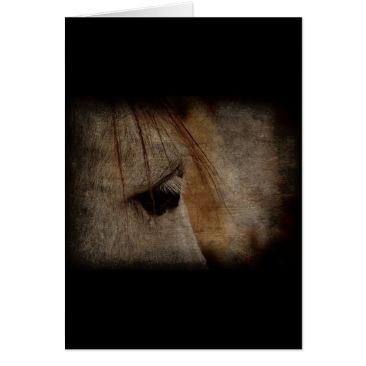 Grey Horse Face Grunge Cards (Front)
