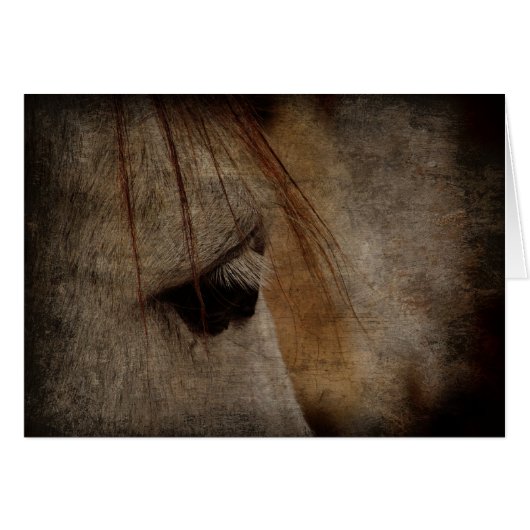 Grey Horse Face Grunge Cards (Front Horizontal)