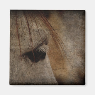 Grey Horse Face Grunge Magnet
