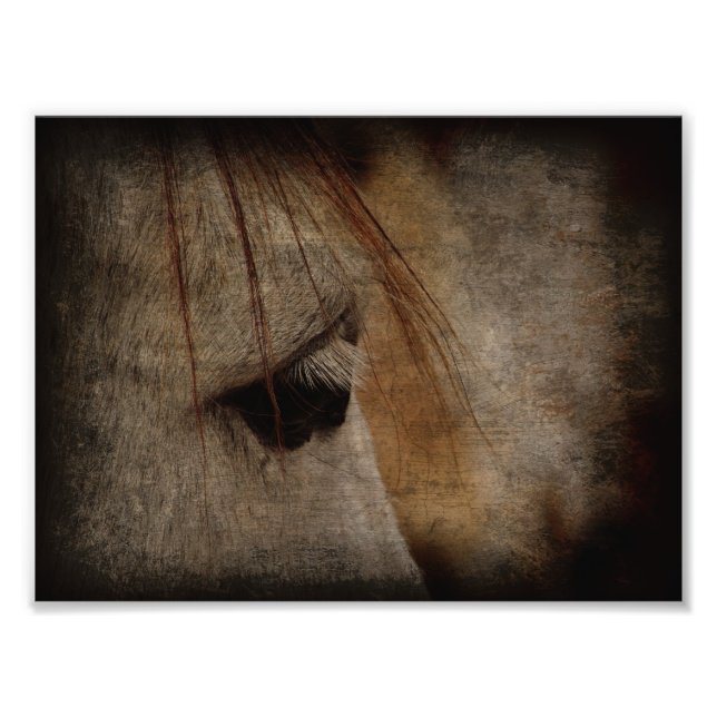 Grey Horse Face Grunge Photo Print (Front)