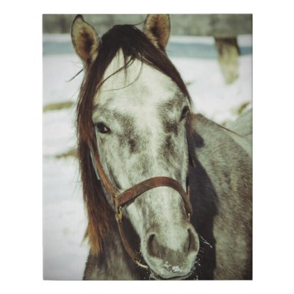 Grey Horse Faux Canvas Print