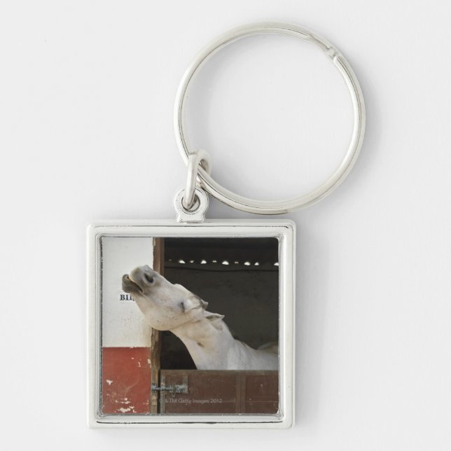 Grey horse in a stable keychain (Front)