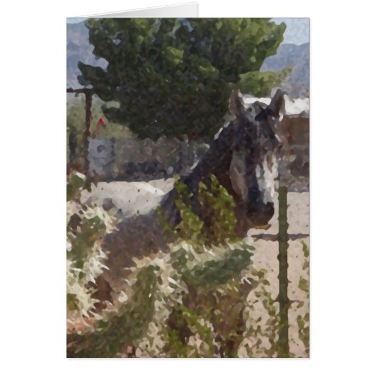Grey Horse in Catcus Cards (Front)