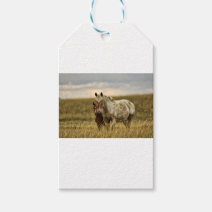 Grey Horse with Baby Gift Tags