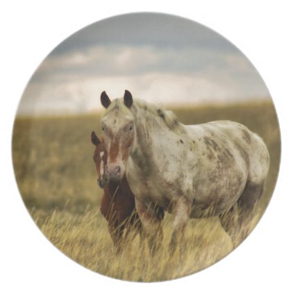 Grey Horse with Baby Melamine Plate