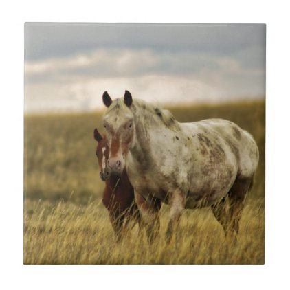 Grey Horse with Baby Tile