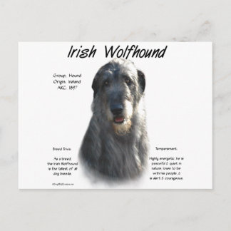 Grey Irish Wolfhound History Postcard