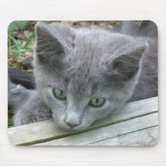 Grey Kitten Mousepad (Front)