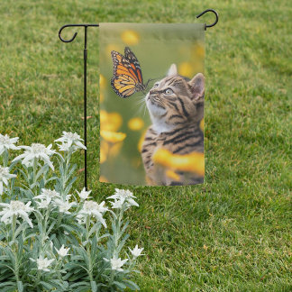 Grey Kitten Orange Butterfly Garden Flag