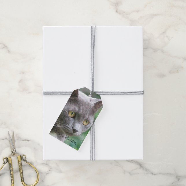 Grey Kitty Cat Gift Tags (With Twine)