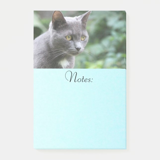 Grey Kitty Cat Post-it Notes (Front)