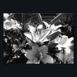 Grey Lilies Photo Print<br><div class="desc">A lot of them fill the frame in black and white</div>