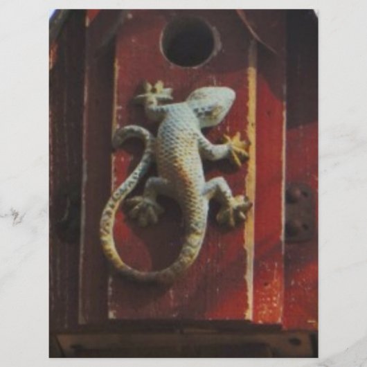 grey lizard on worn wood (Front)