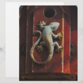 grey lizard on worn wood (Front/Back)
