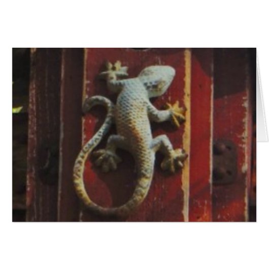 grey lizard on worn wood (Front Horizontal)