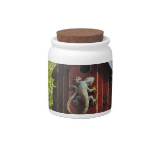 grey lizard on worn wood candy jar