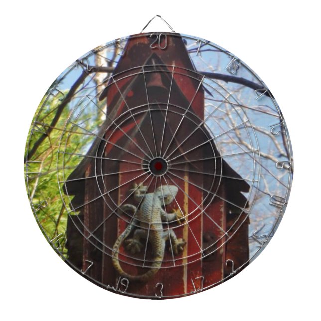 grey lizard on worn wood dart board (Front)