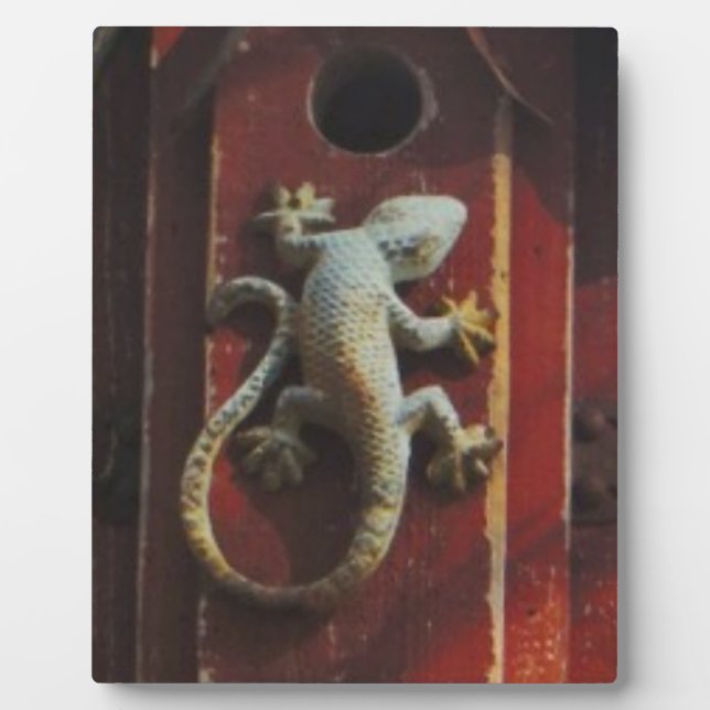grey lizard on worn wood plaque (Front)