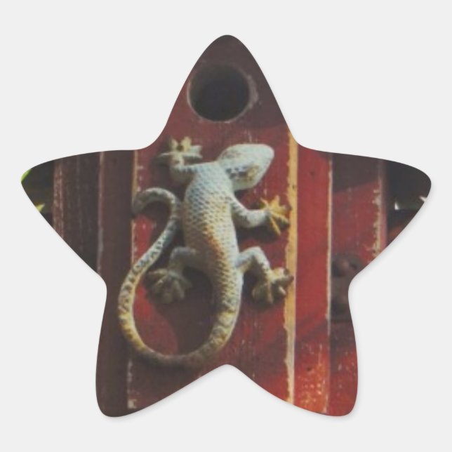 grey lizard on worn wood star sticker (Front)
