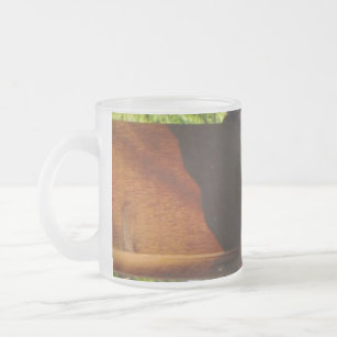 grey lizard on worn wood frosted glass coffee mug