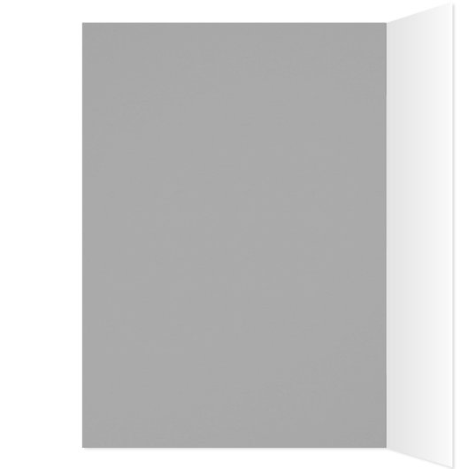 Grey Long Hair Cat Blue Green Eyes Pet Animal (Inside (Left))