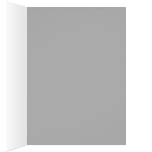 Grey Long Hair Cat Blue Green Eyes Pet Animal (Inside (Right))