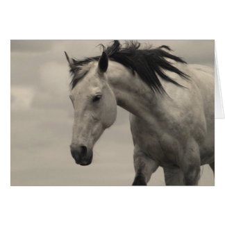 Grey Mare Cards