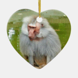 Grey Monkey, Ape Macaque, Nature, Animal Wildlife Ceramic Ornament