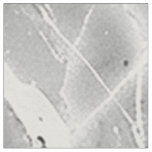 Grey 'Opulent Marble Whirl' Marble Texture Fabric